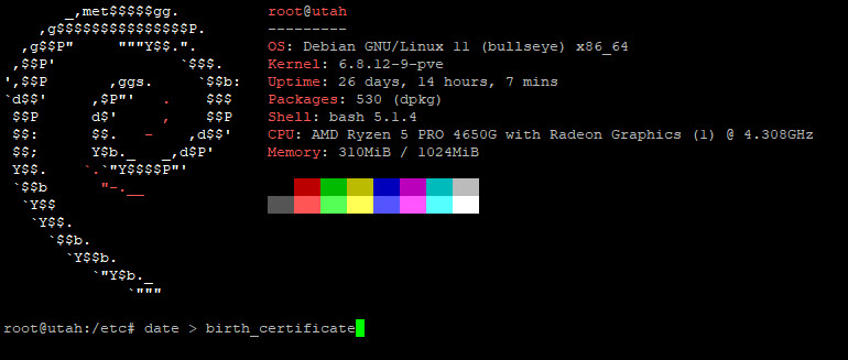 Documenting Your Server’s Birth: A Simple Linux Tip