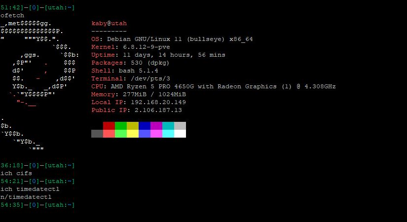 Understanding the which Command in Linux: A Handy Tool for Command Discovery